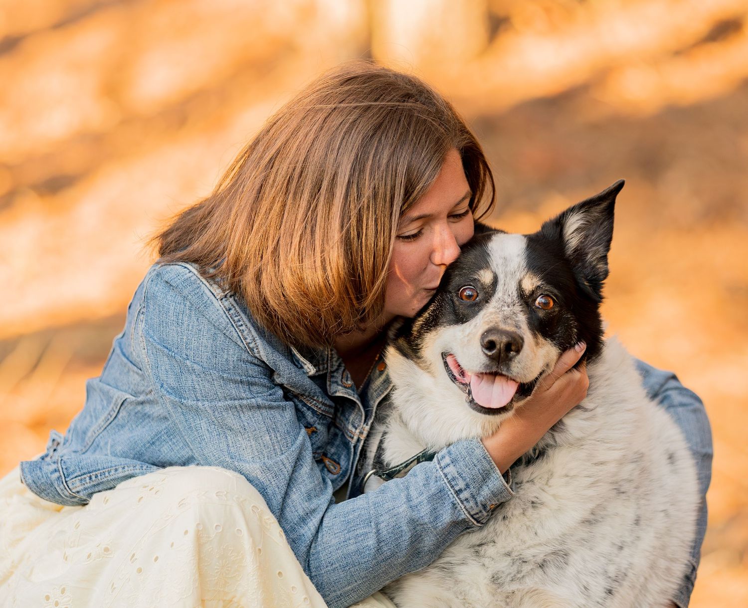 Woman in denim jacket kissing her happy black and white Border Collie dog outdoors in autumn setting.
