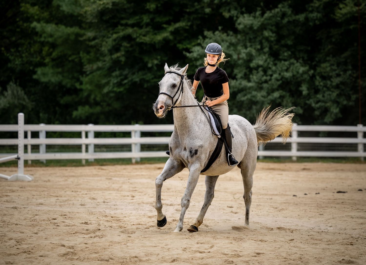 Young rider in black outfit and helmet cantering on a white horse in a sandy arena with white fence.