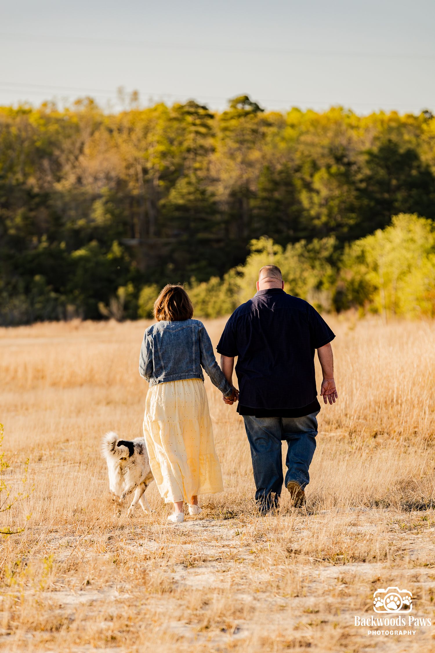 Couple holding hands walking through golden field with dog, trees in background, outdoor photography session.