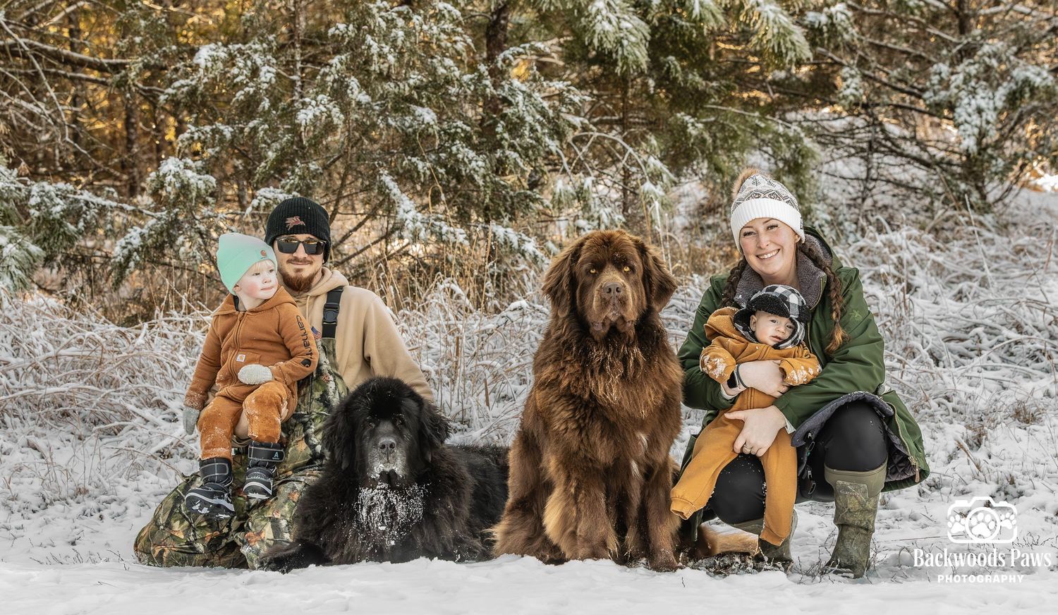A group poses with brown dogs in a snowy winter landscape during a festive outdoor photoshoot.