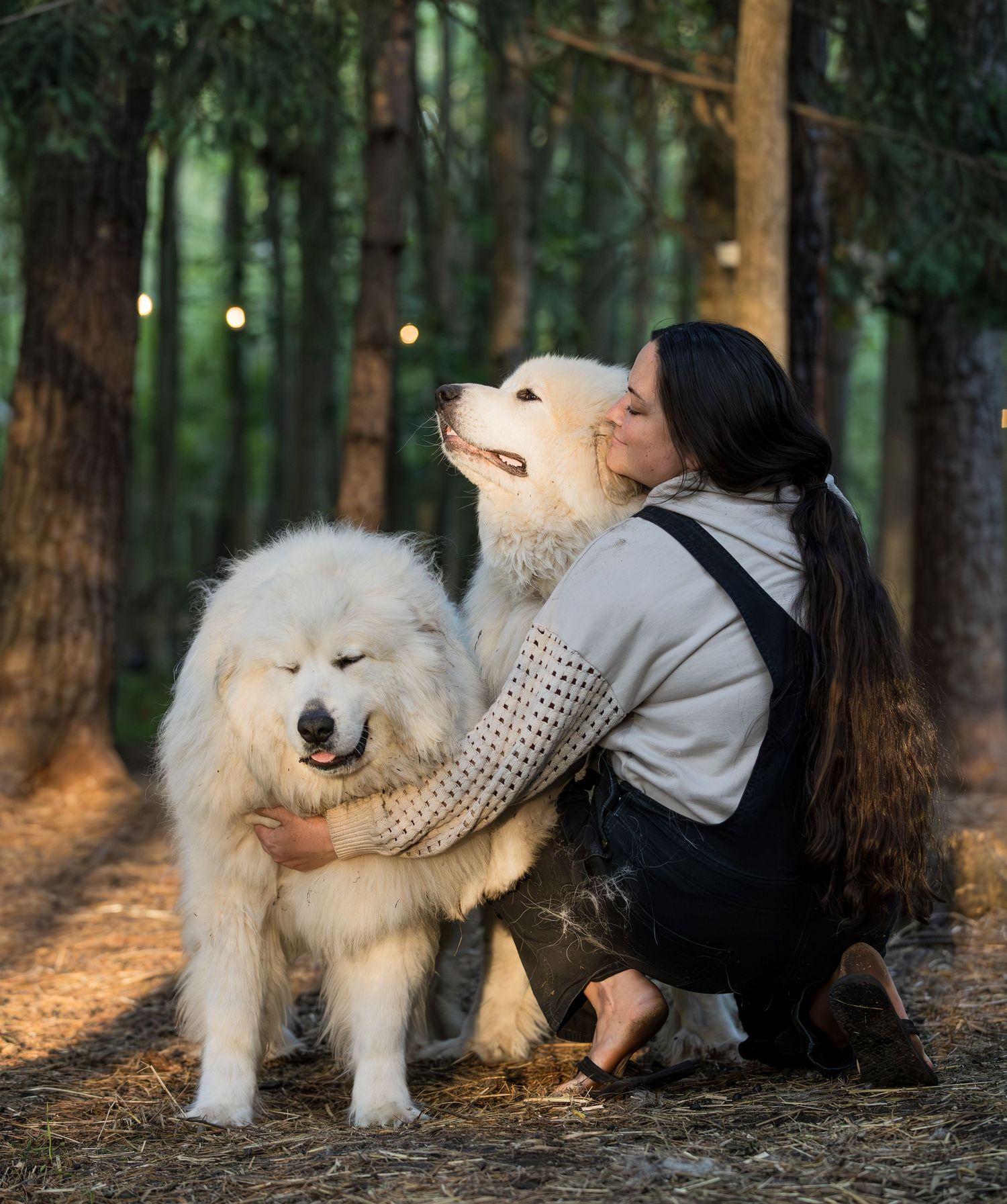 Woman crouching in forest kissing large white Golden Retriever while hugging fluffy white Chow Chow dog.