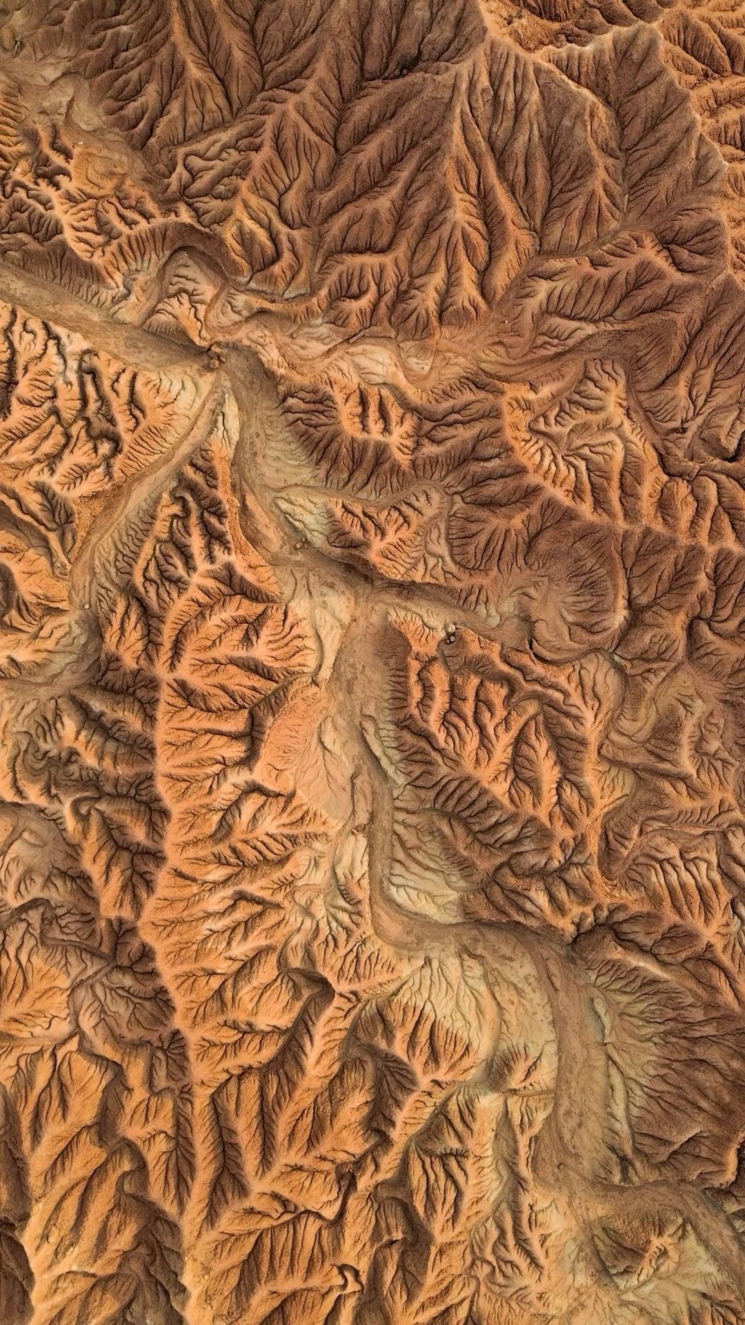 Aerial view of dramatic eroded desert canyon landscape with intricate patterns in warm brown tones.