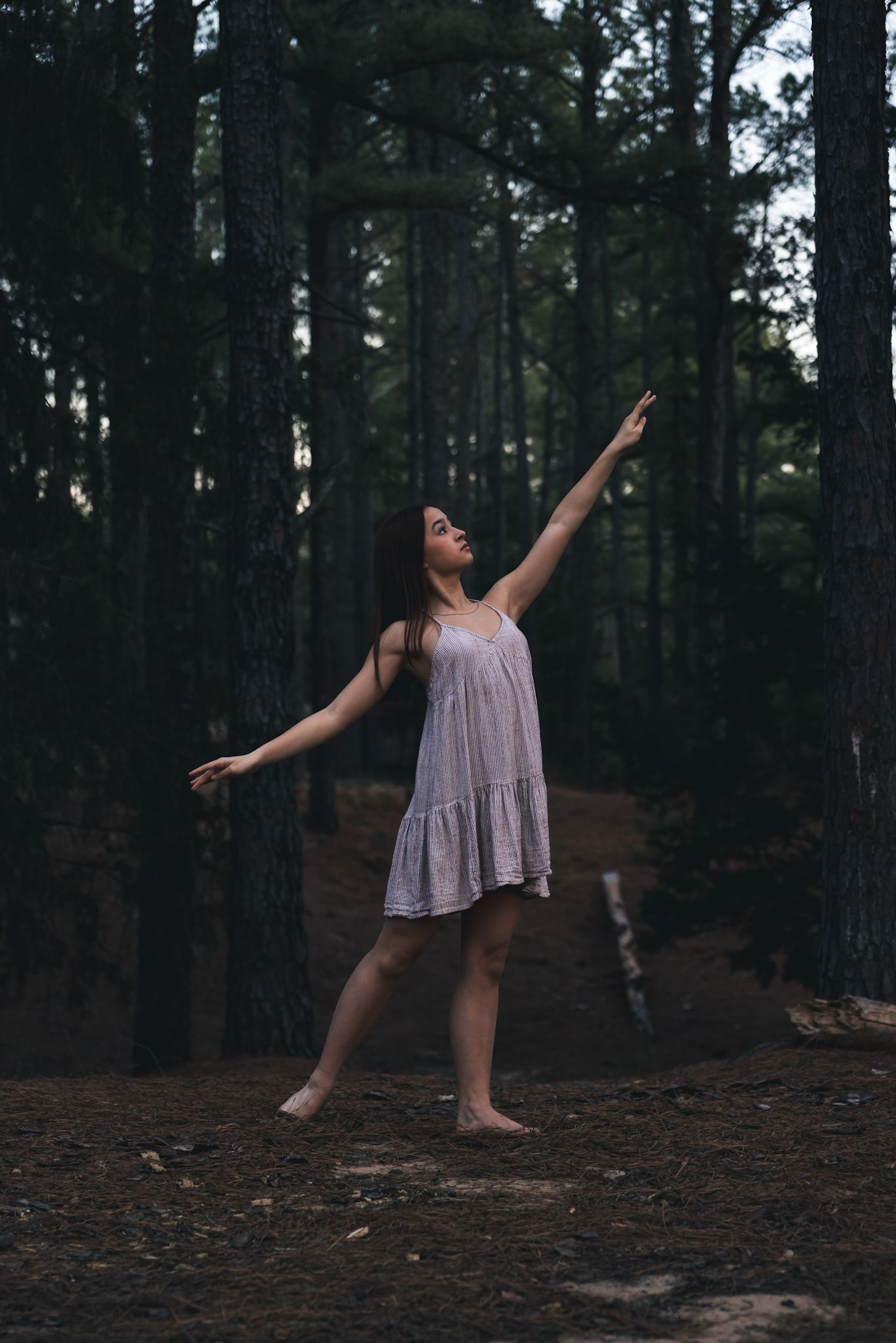 A person in a flowing dress dances gracefully through a dark forest setting, captured in a series of artistic movements.