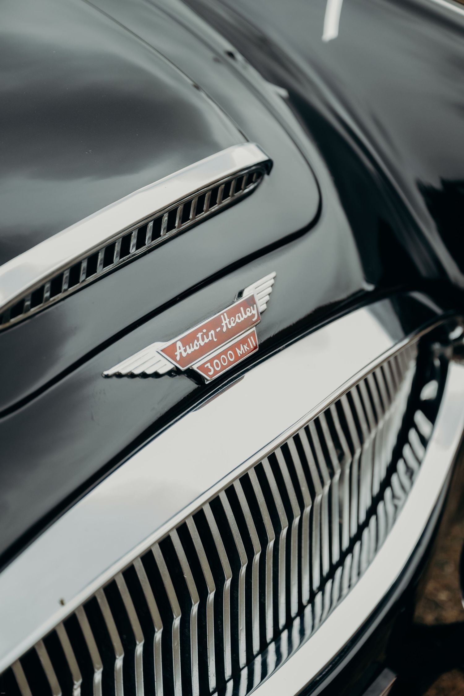 Close-up detail of a classic Austin Healey car badge and grill.