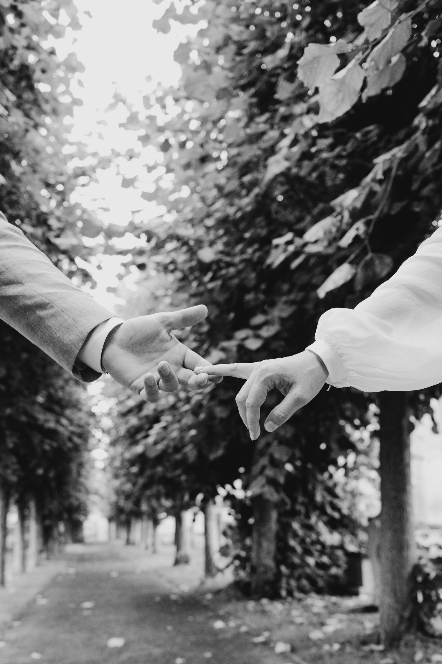 Artistic black and white photo series of hands reaching toward each other in a wooded setting.