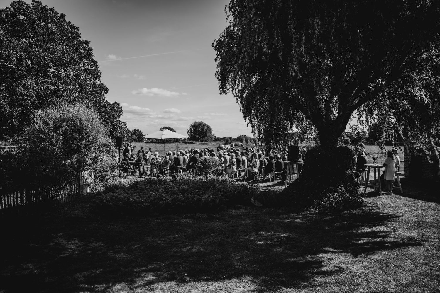 Black and white panoramic landscape view of countryside with willow trees.