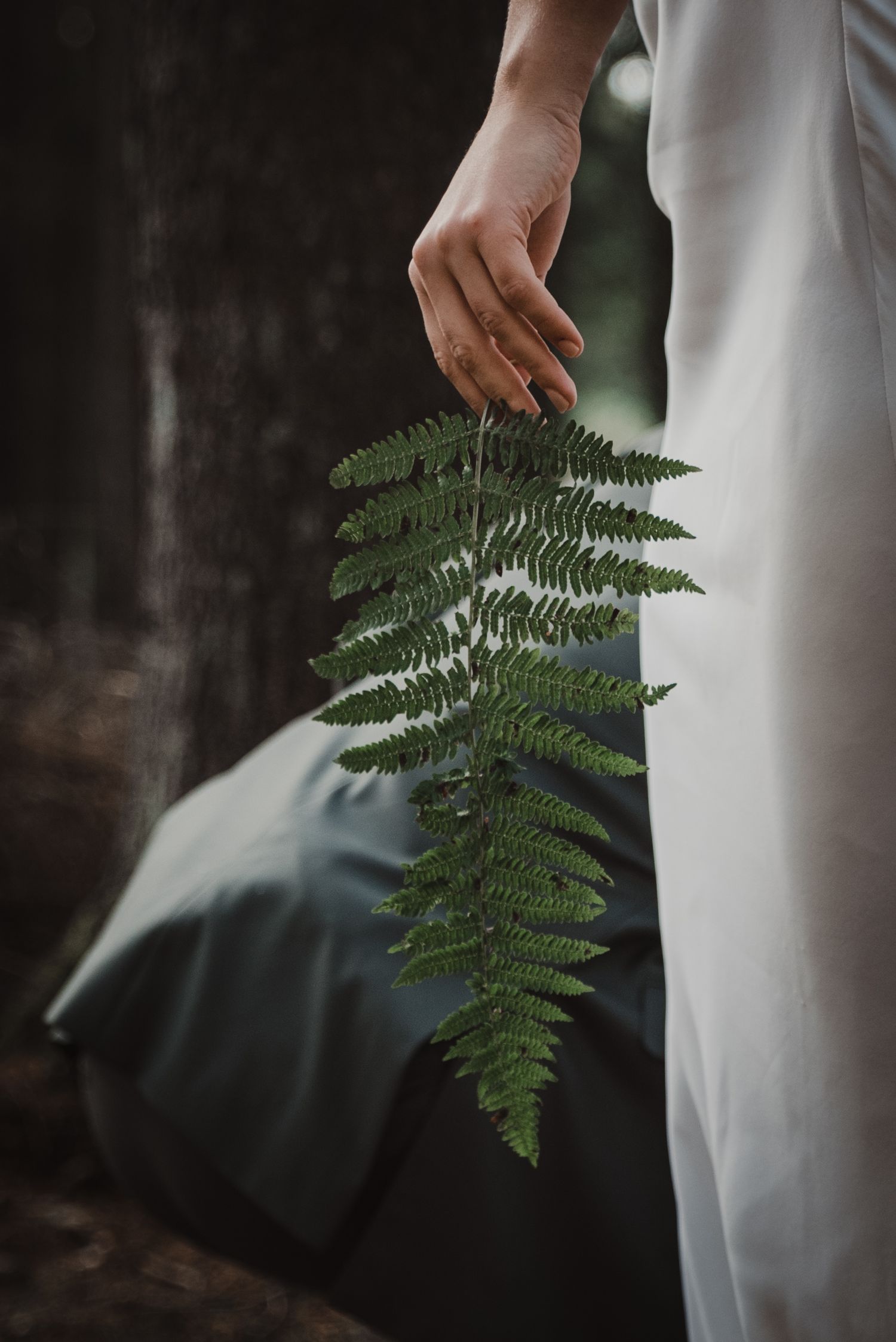 Hand holding green fern frond against white wedding dress.