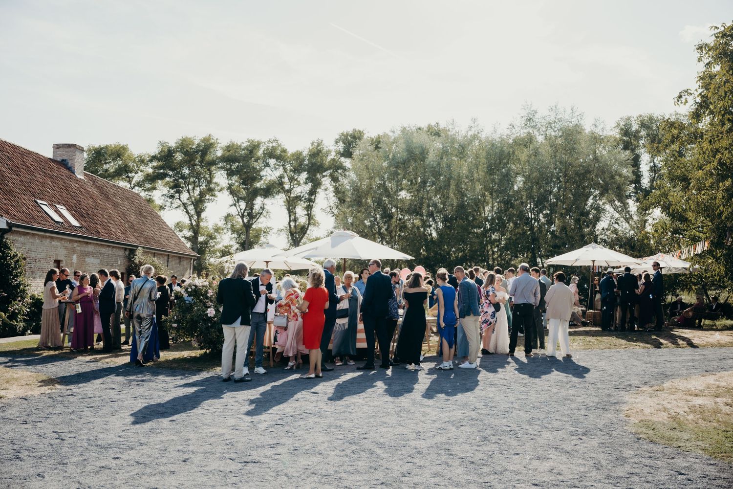 Wide panoramic shot of wedding guests lined up for a group photo outdoors.