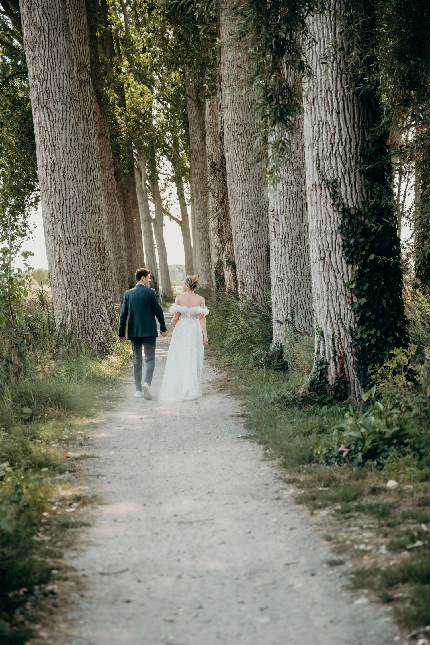 Couple in wedding attire walking down a tree-lined path in a misty forest.