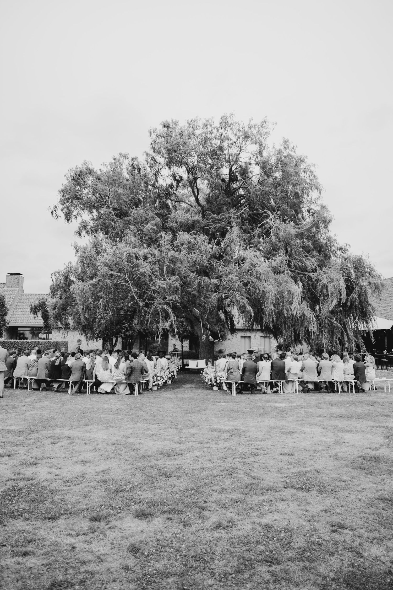 Wide shot of wedding guests seated under large willow trees at an outdoor ceremony.