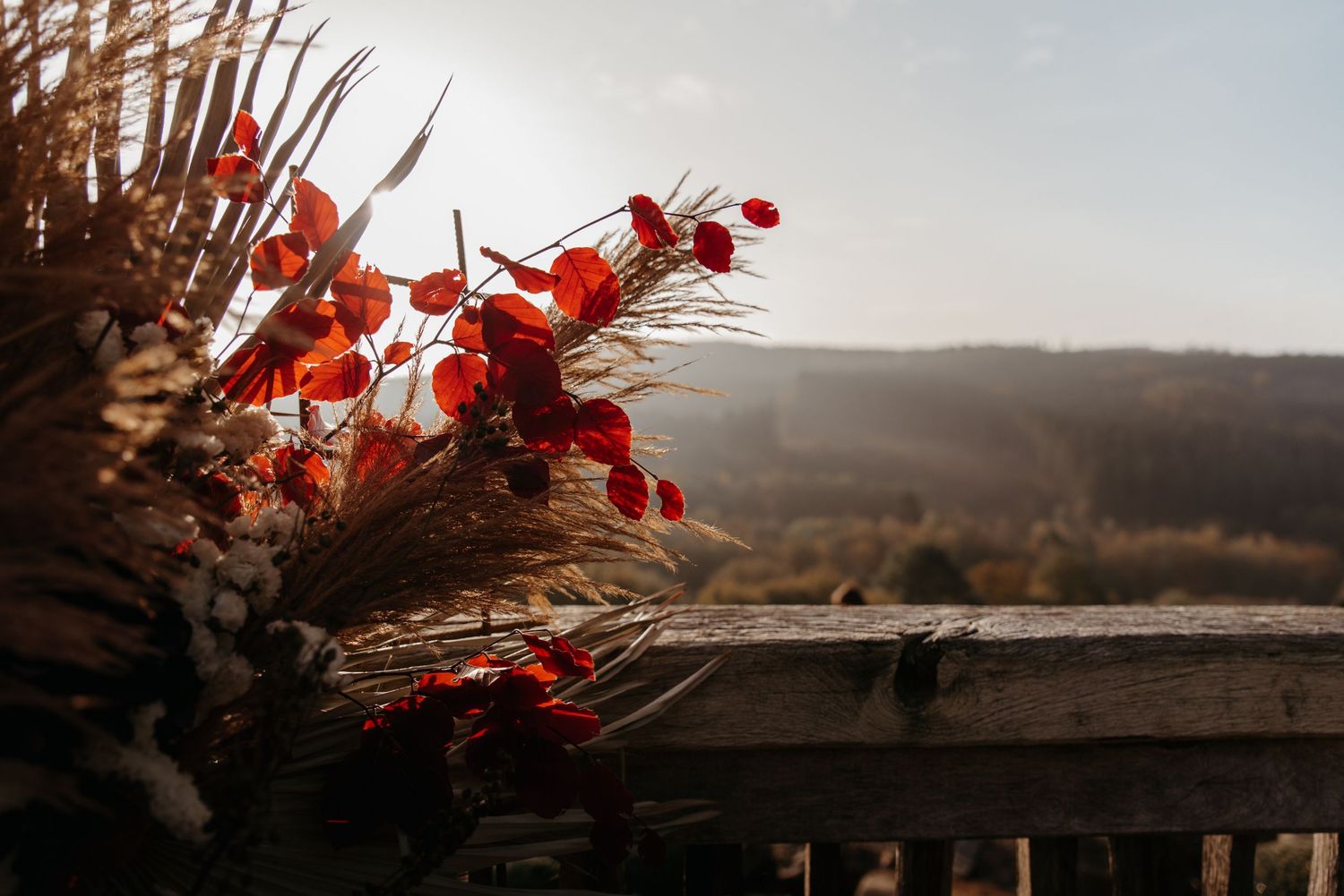 Red berries and dried flowers against blurred mountain landscape.