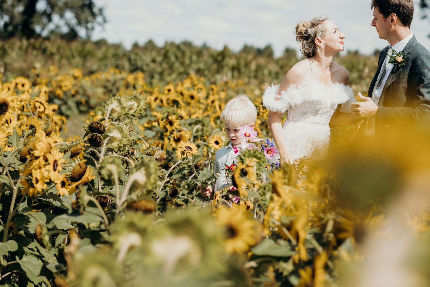 Wedding couple poses in a vibrant sunflower field on their special day.