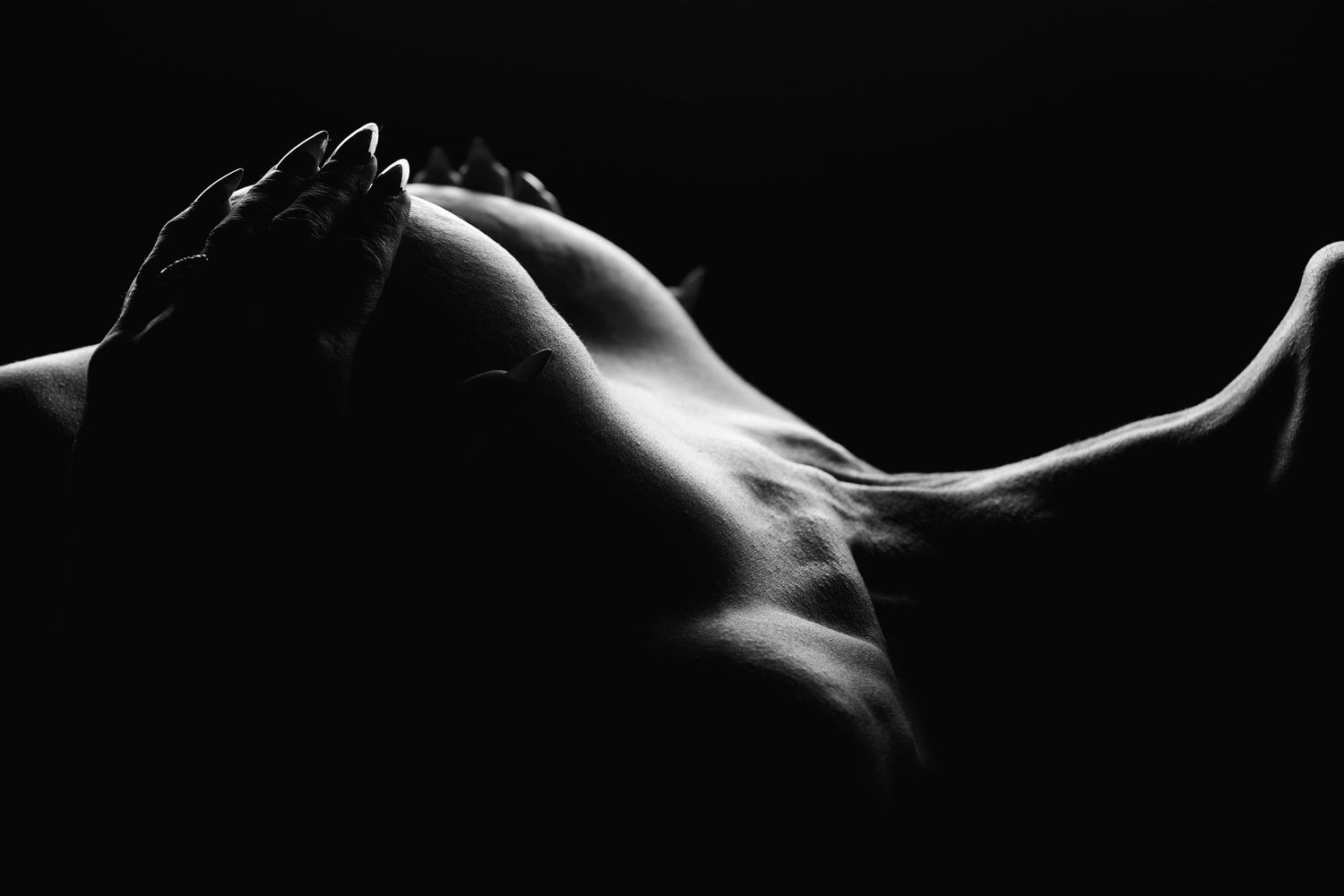 Charlotte erotic boudoir of a woman's body silhouetted in dramatic lighting against a dark background.