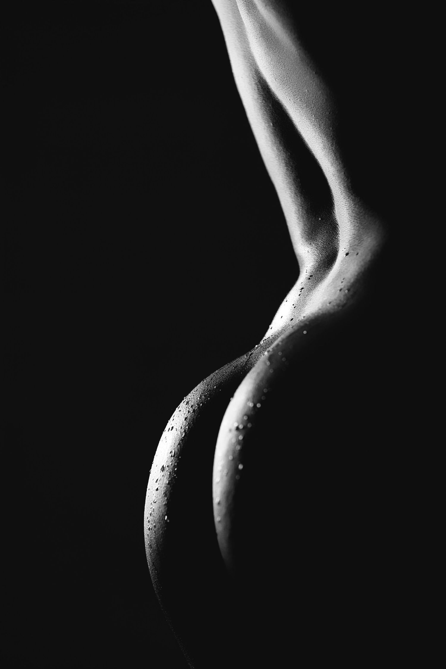 Artistic black and white boudoir photograph of a nude silhouette with water droplets against dark background.