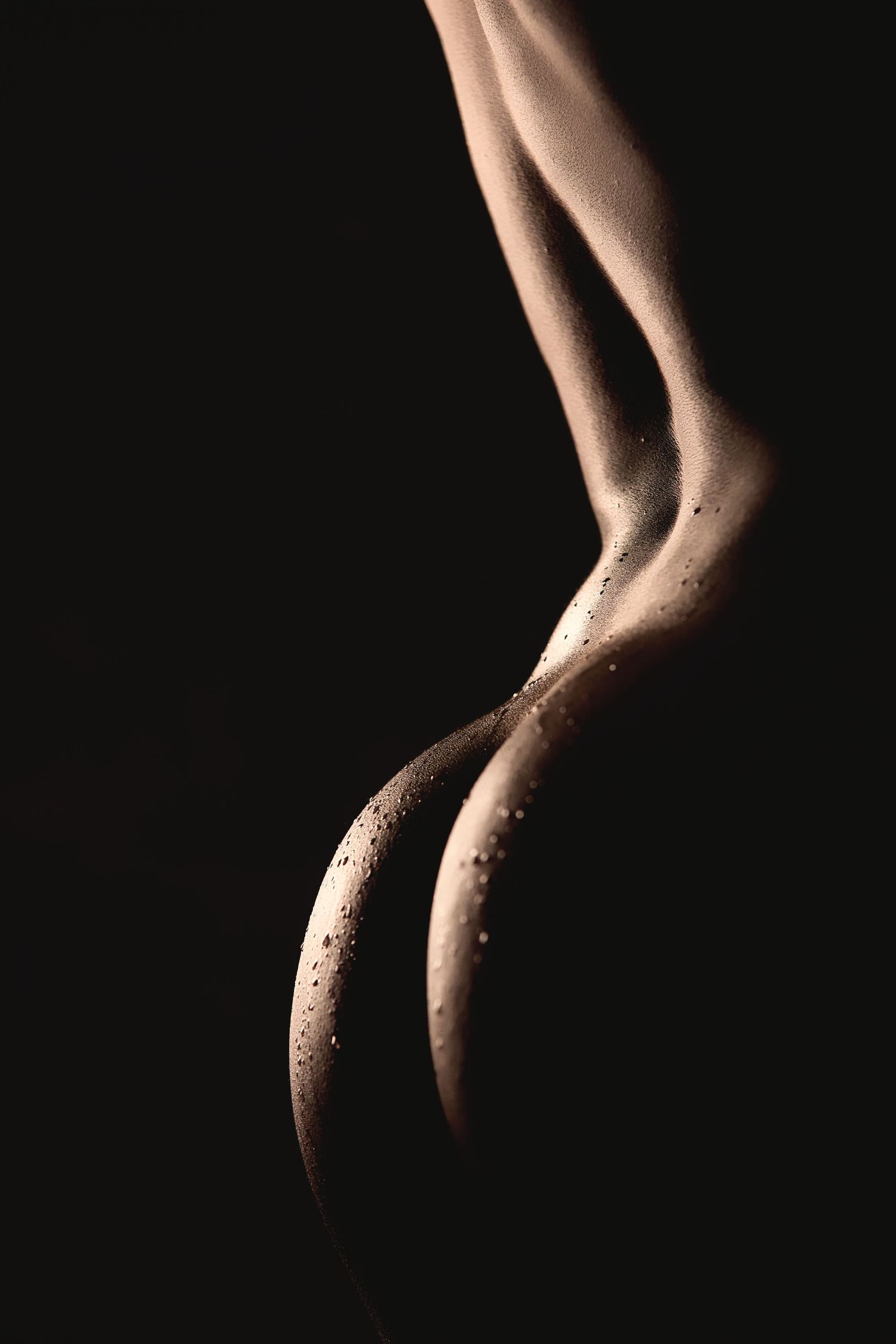 Charlotte boudoir photography captures a nude silhouette showing body contours against a dark background with dramatic, cinematic lighting.