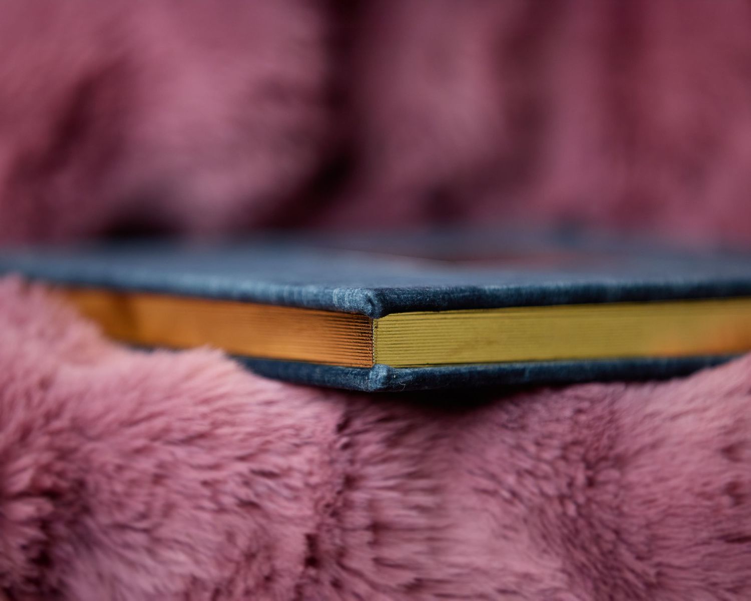 A boudoir album sits on pink soft fur showcasing the binding.