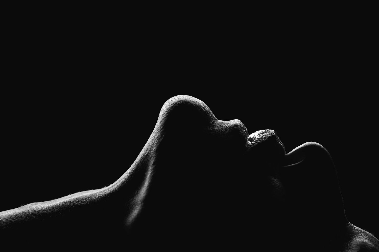 Black and white artistic silhouettes of the female form create an abstract composition against a dark background.