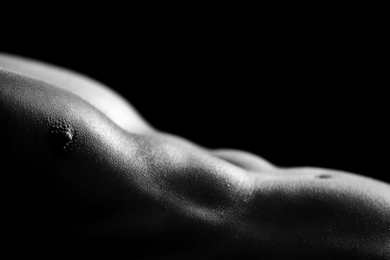 Minimalist body study showing gentle curves in monochrome.