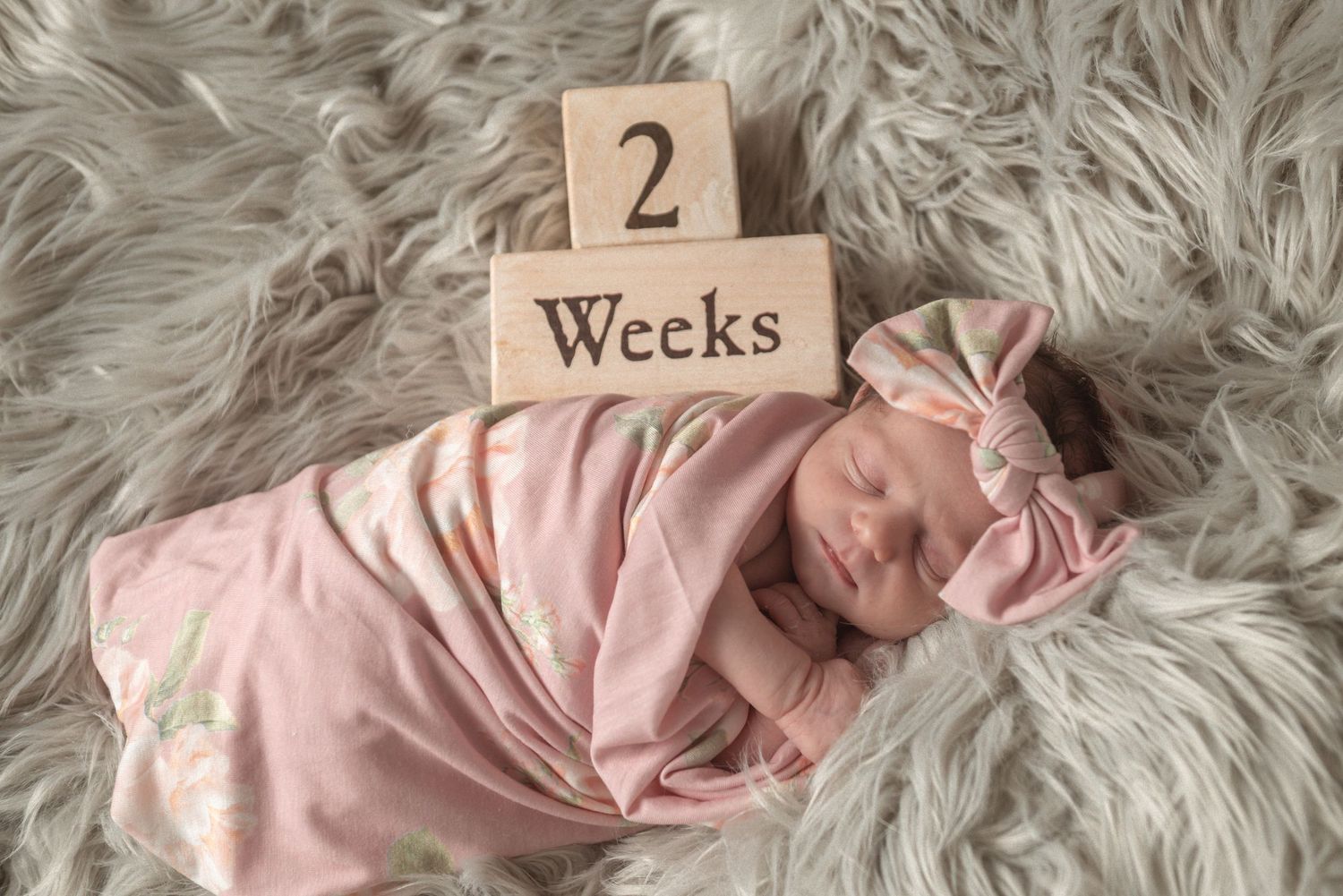 Milestone card showing '2 weeks' placed on soft gray furry background with pink fabric.