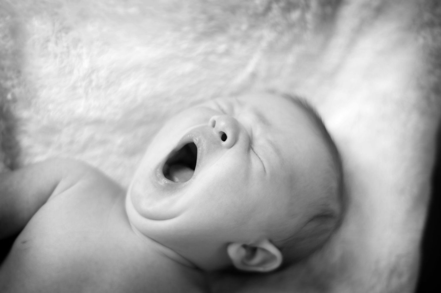 Soft focus black and white portrait of a sleeping newborn.