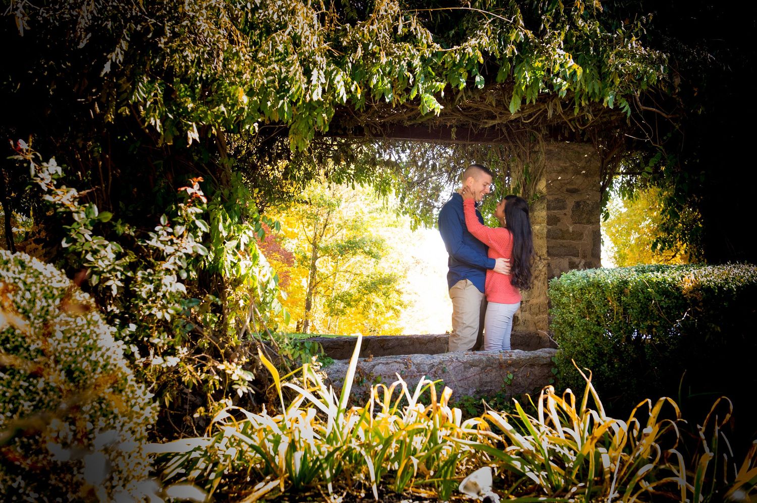 A romantic garden scene with sunlit foliage and stone architecture.