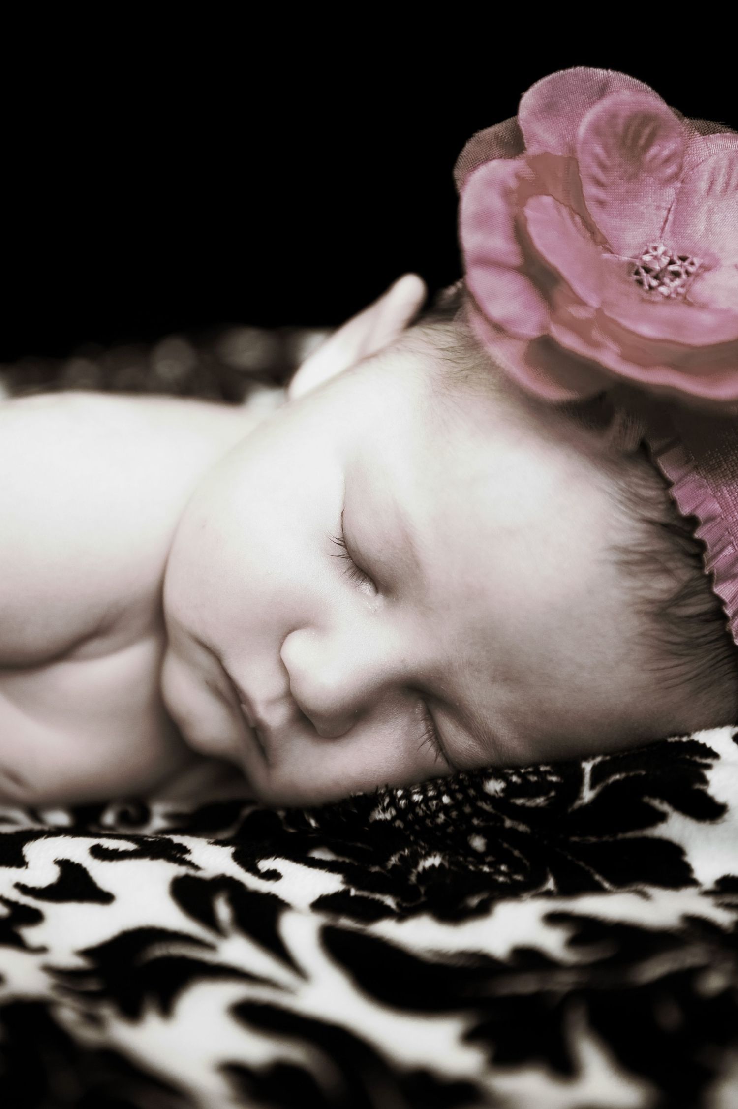Dreamy portrait with pink roses against black and white damask pattern.