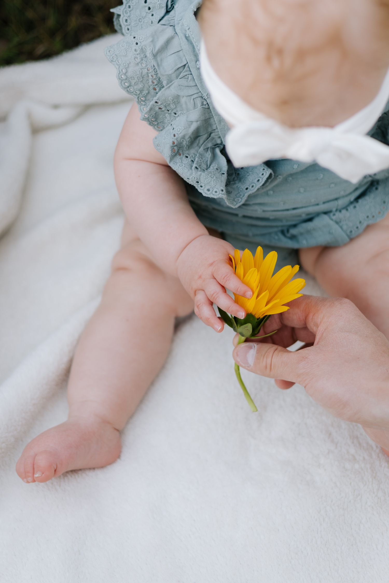 A tiny hand gently holds a bright yellow flower while wearing a blue ruffled dress.