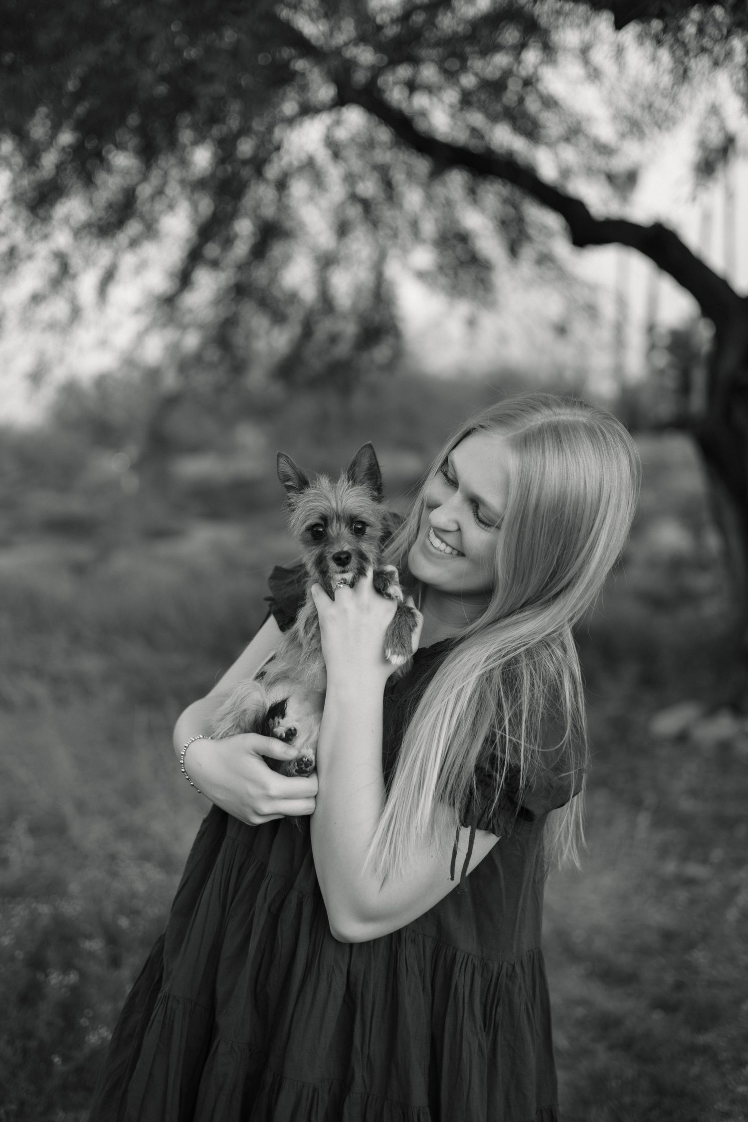 Person in dark dress cuddles small Yorkshire terrier dog in outdoor desert setting.