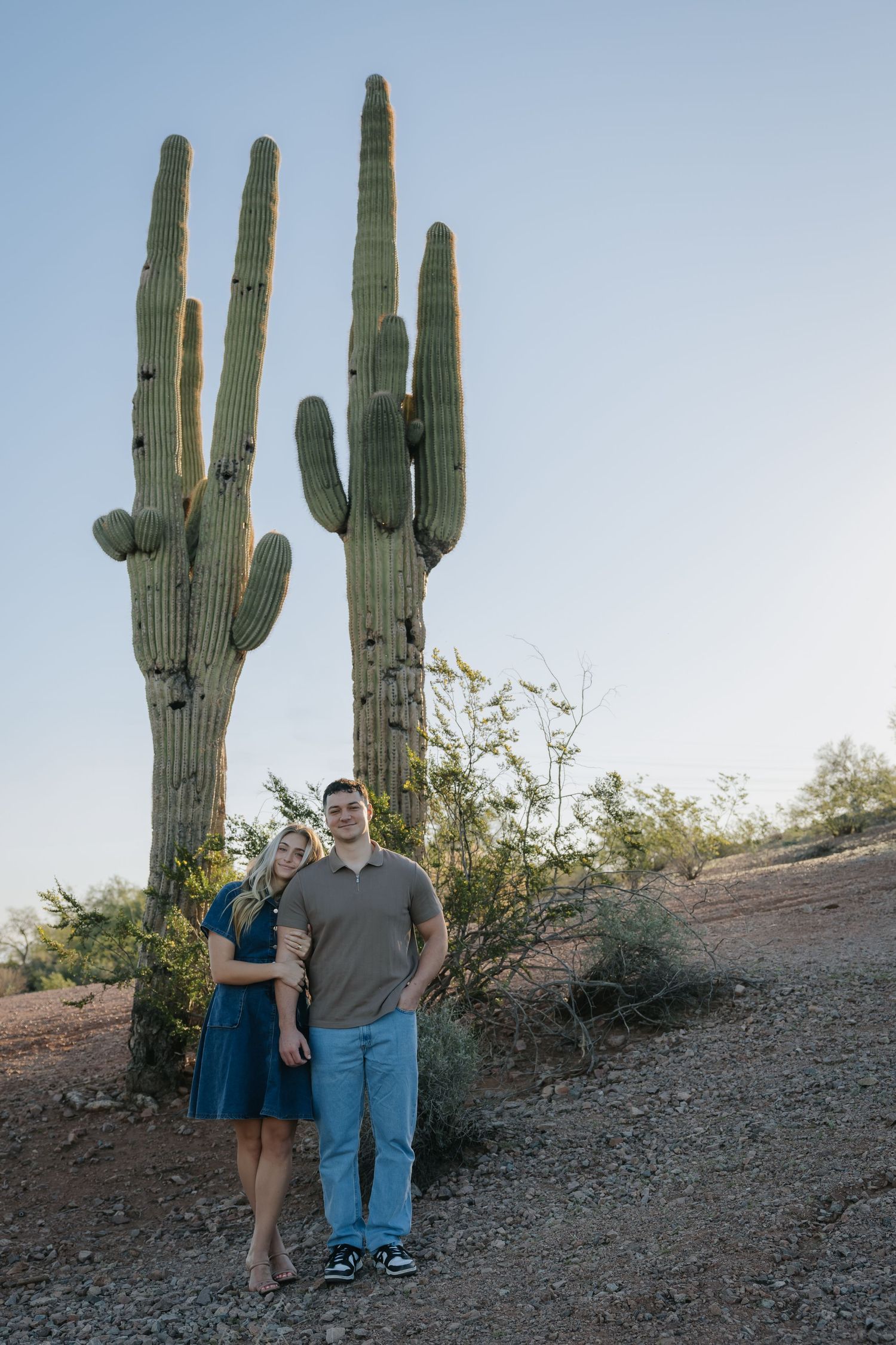 Desert landscape with tall saguaro cacti against a pale blue sky.