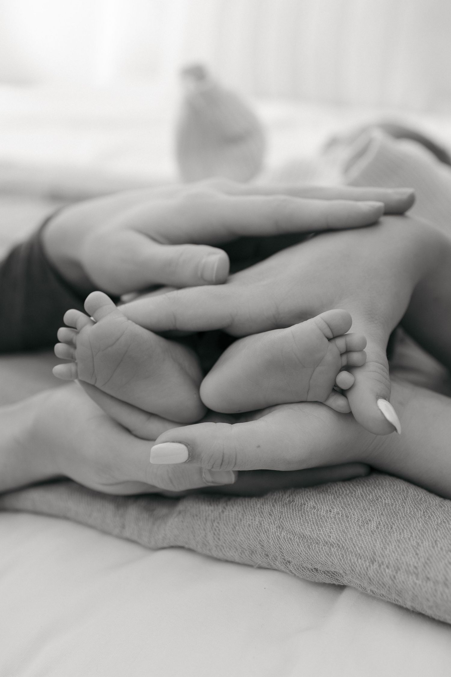 Black and white image of tiny baby feet with parent hands gently touching.
