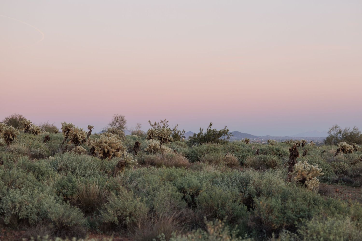 Desert landscape at dusk with sagebrush and scrub vegetation under a pink and purple sky.