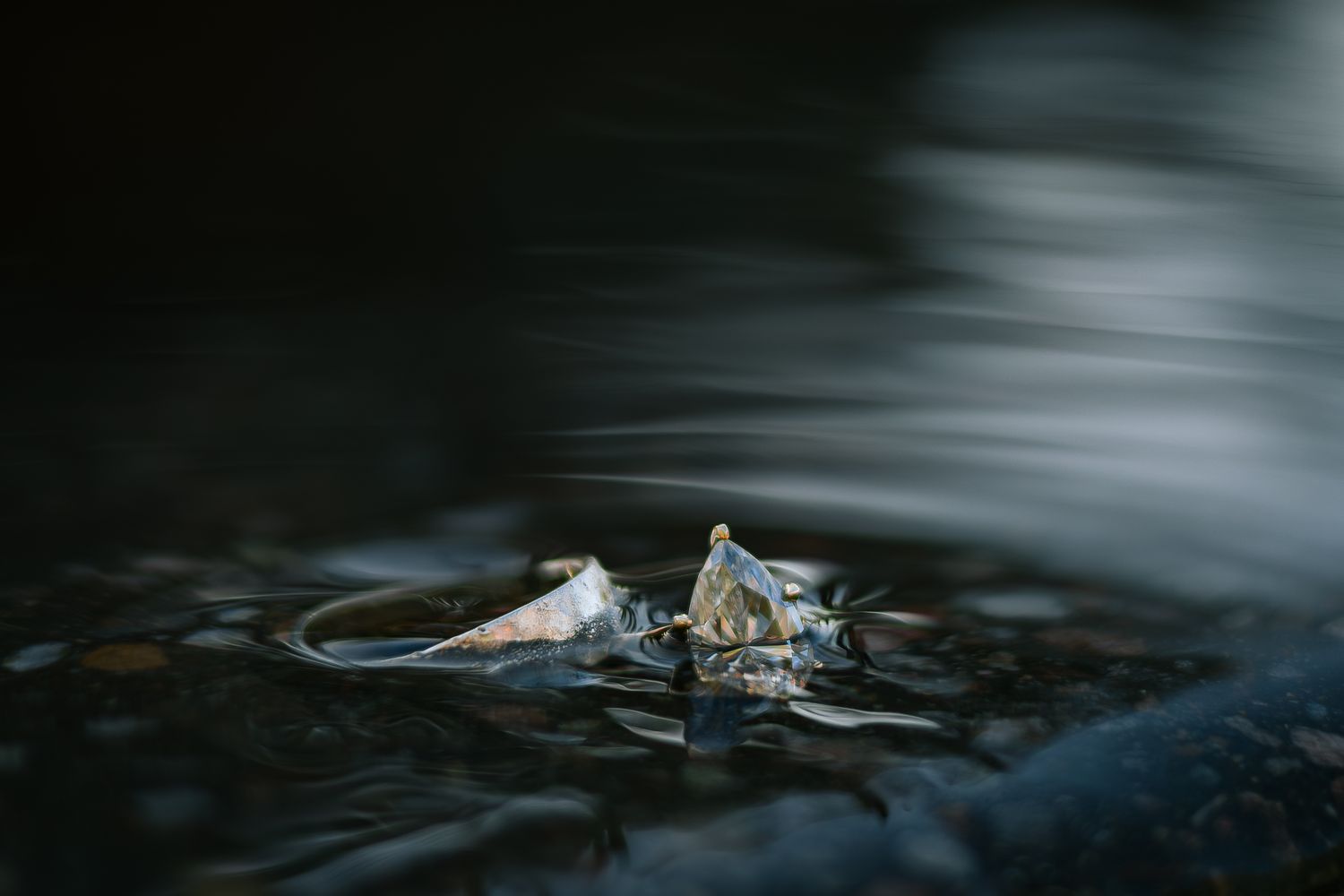 Close-up of wedding rings floating on water surface with dramatic lighting.