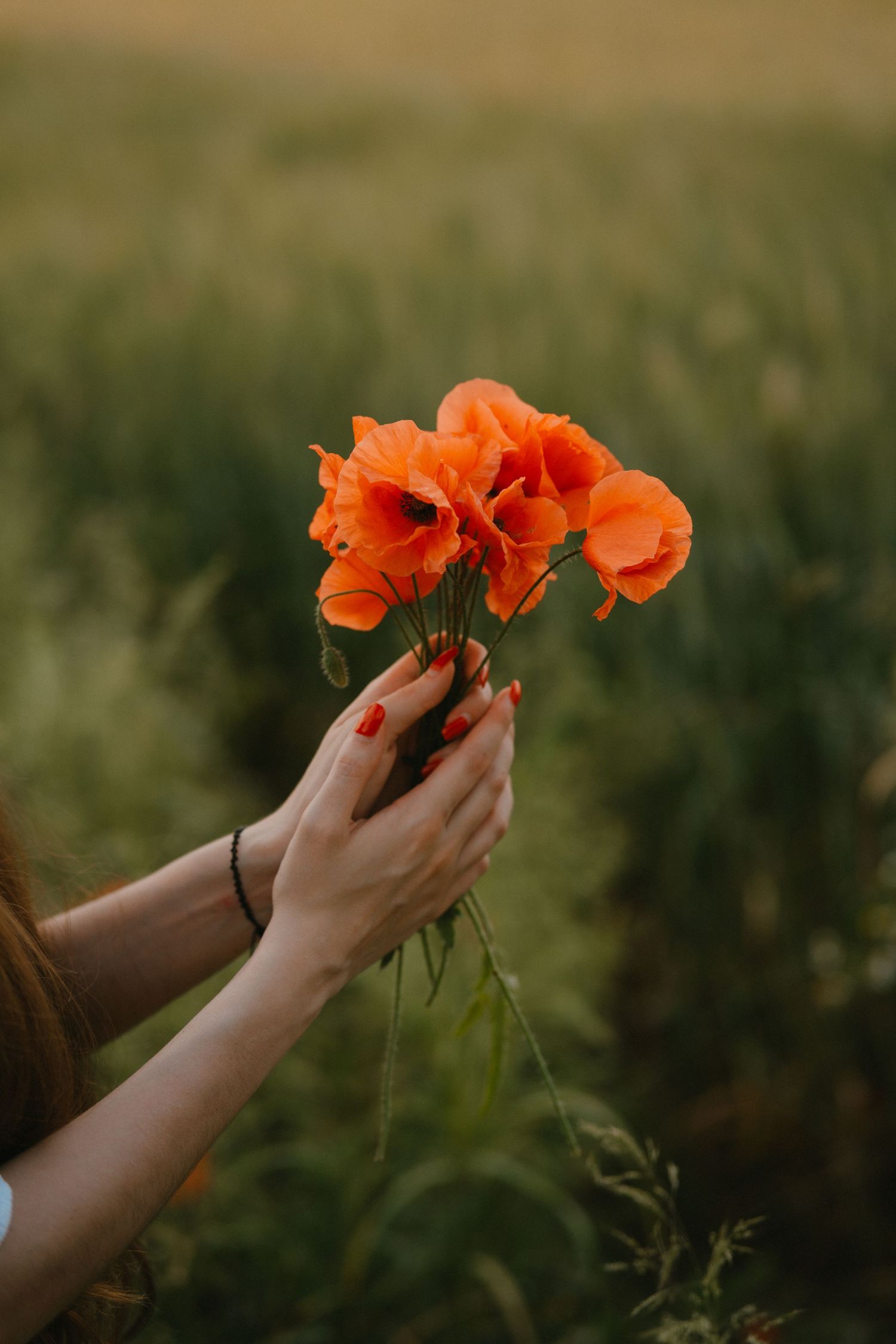 lifestyle foto Blumen