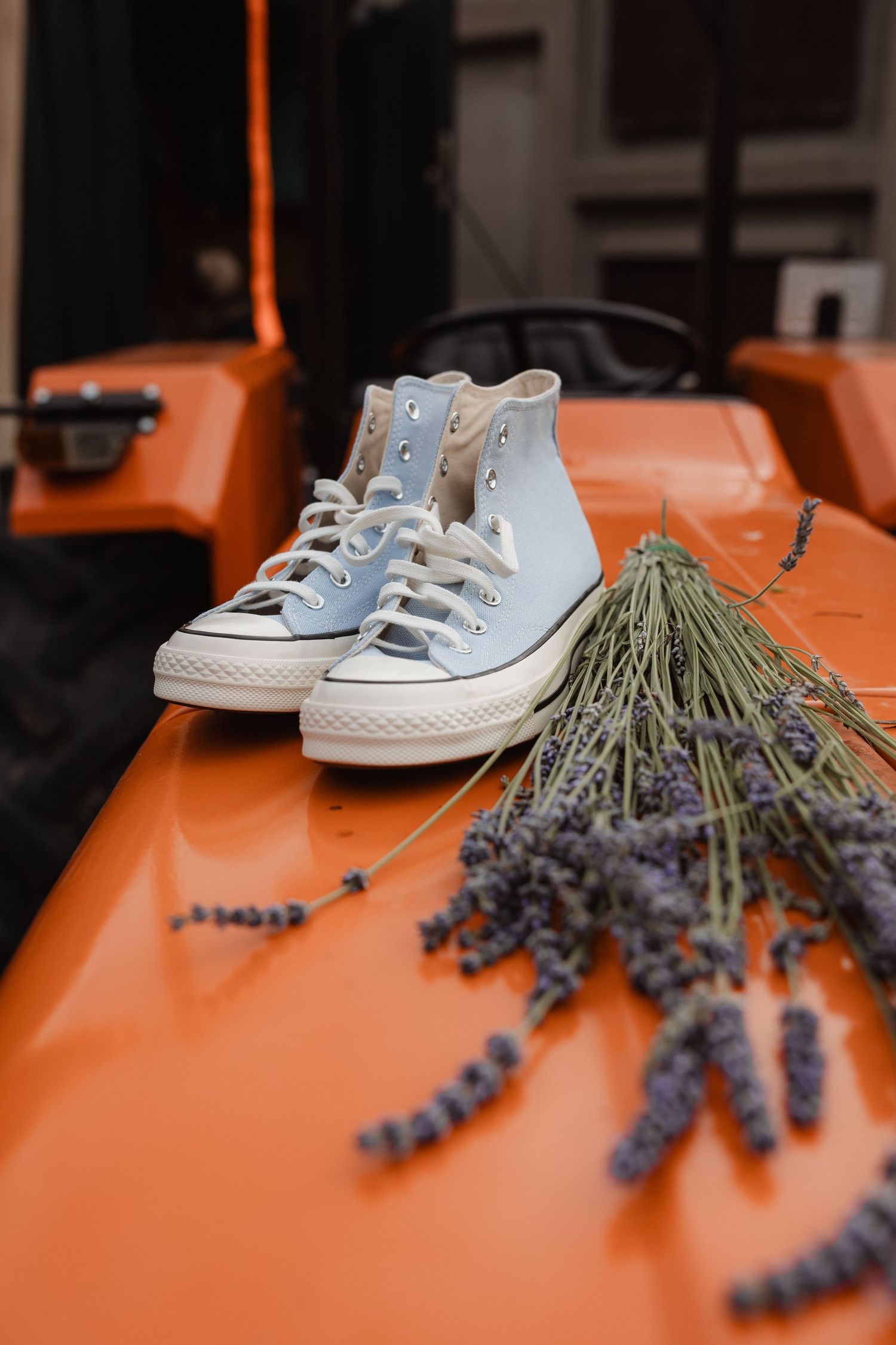 Baby blue Converse sneakers and dried lavender arranged on an orange surface.