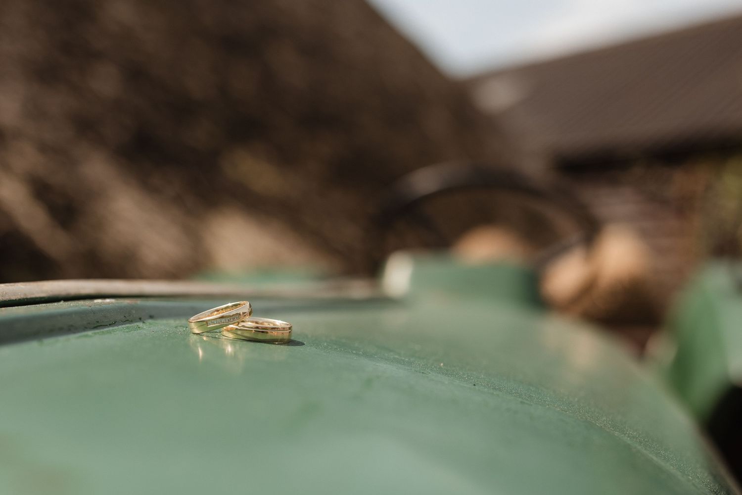 Close-up detail shot of wedding rings on a green surface.
