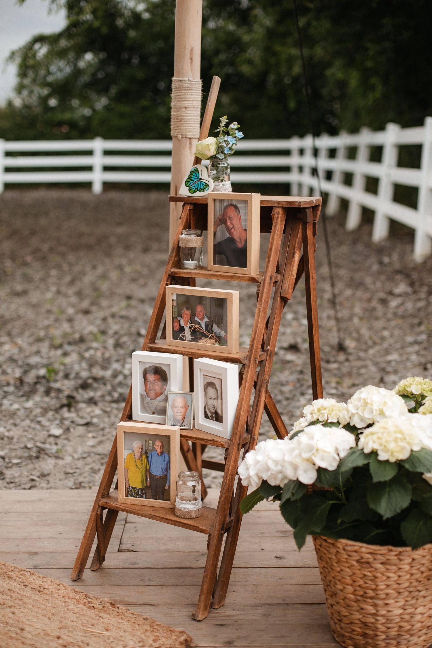 Wooden ladder display with framed photos and white hydrangeas against white fence backdrop.