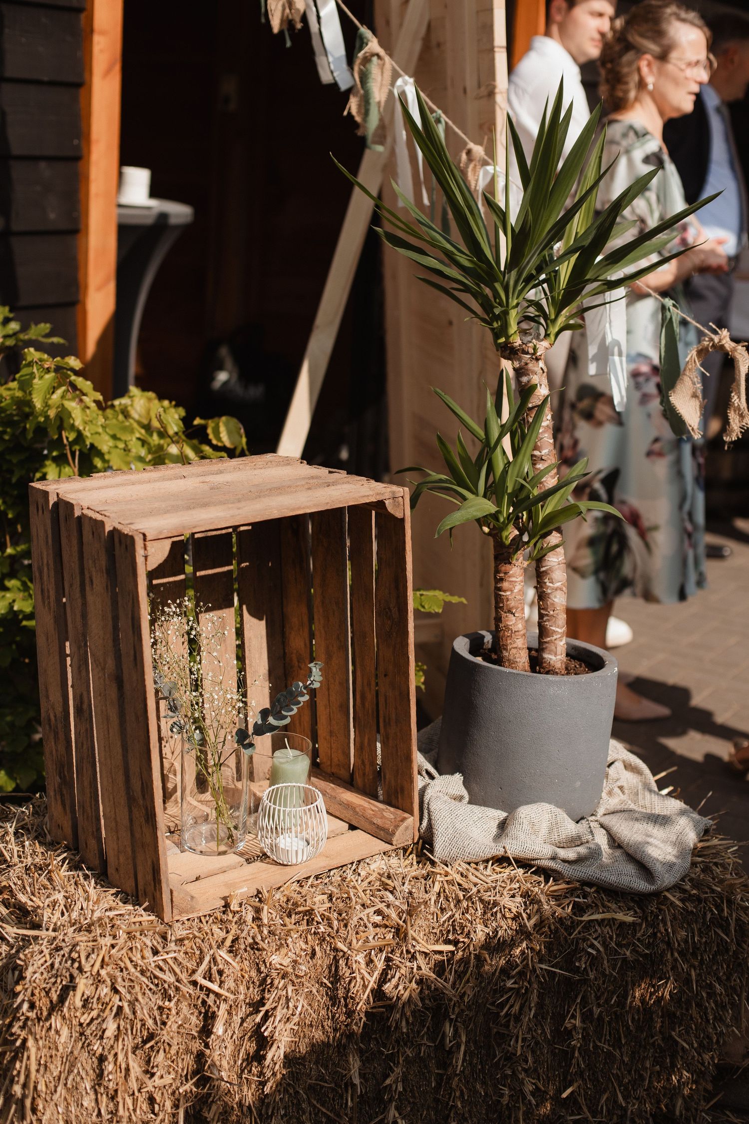 Rustic wedding decor featuring wooden crates and potted plants on hay bales.