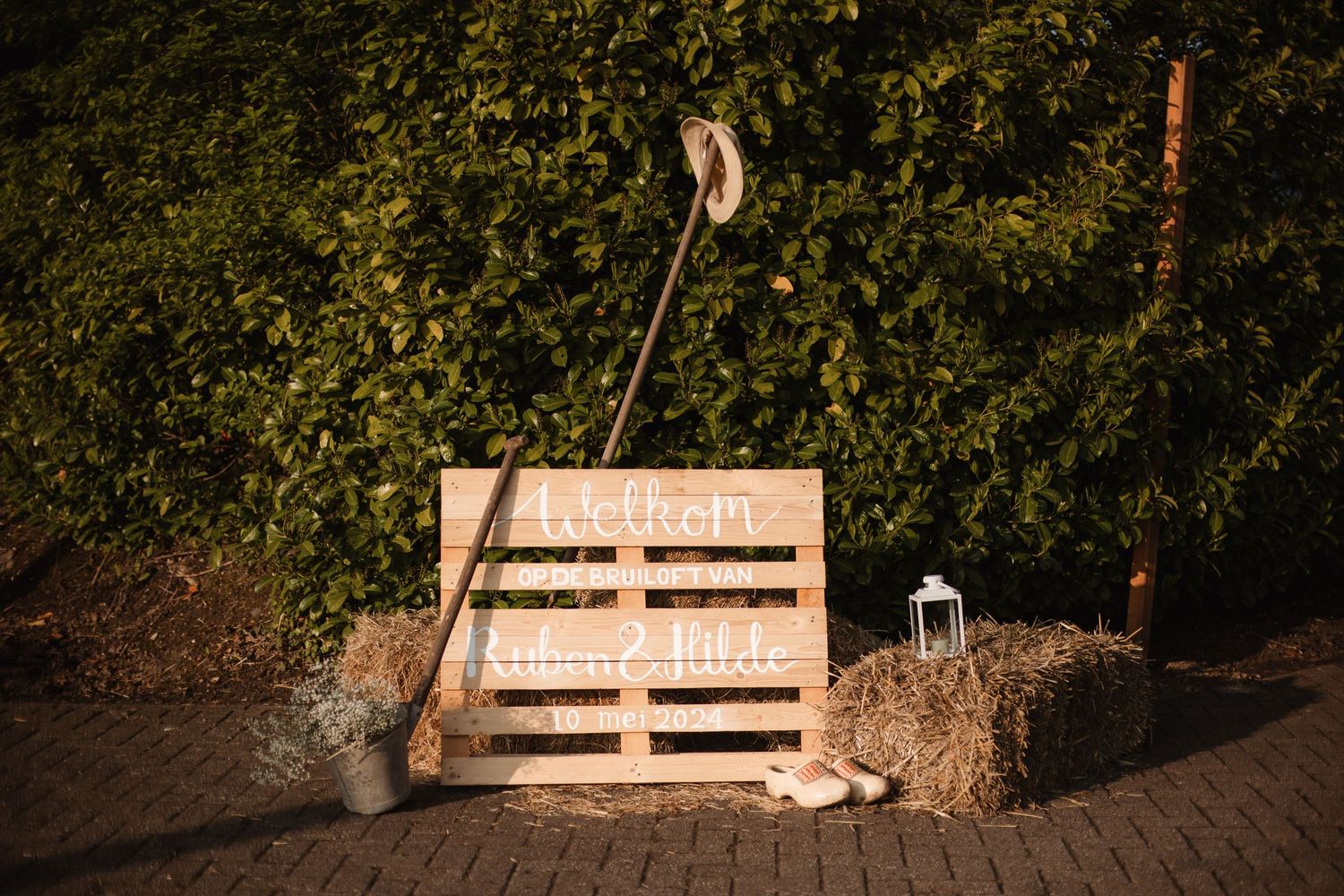 Wooden benches arranged outdoors in a garden setting at sunset.