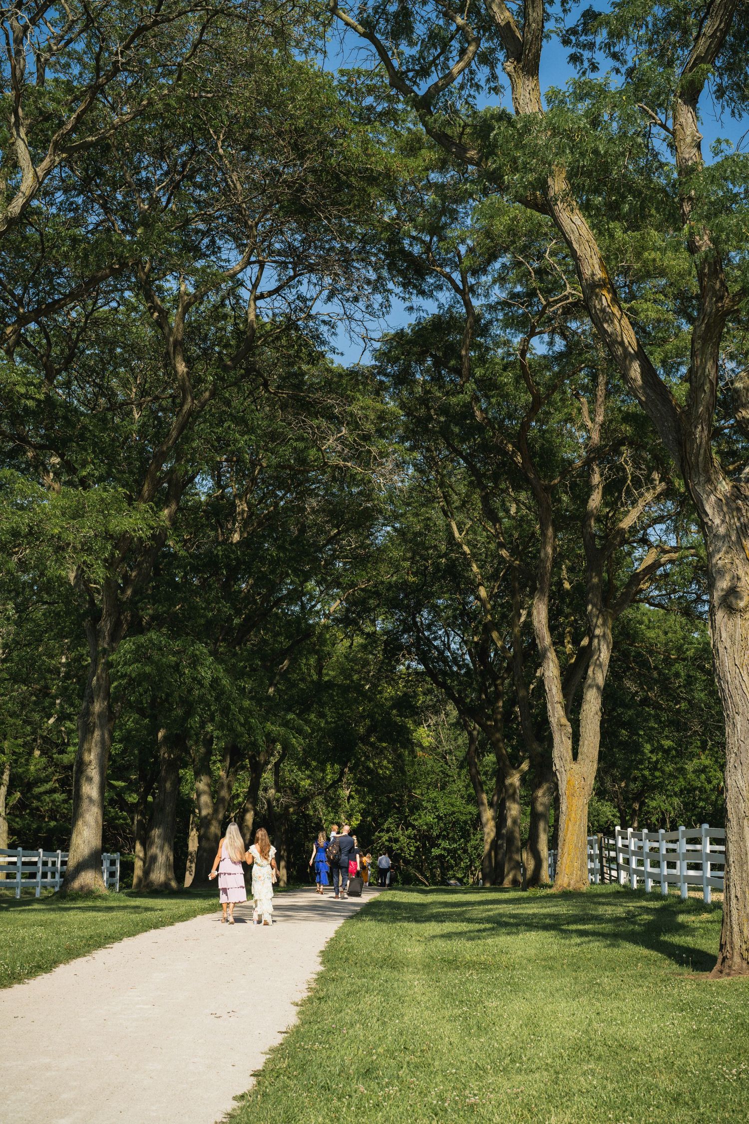 People walking along a tree-lined path in a lush green park on a sunny day with a white fence.