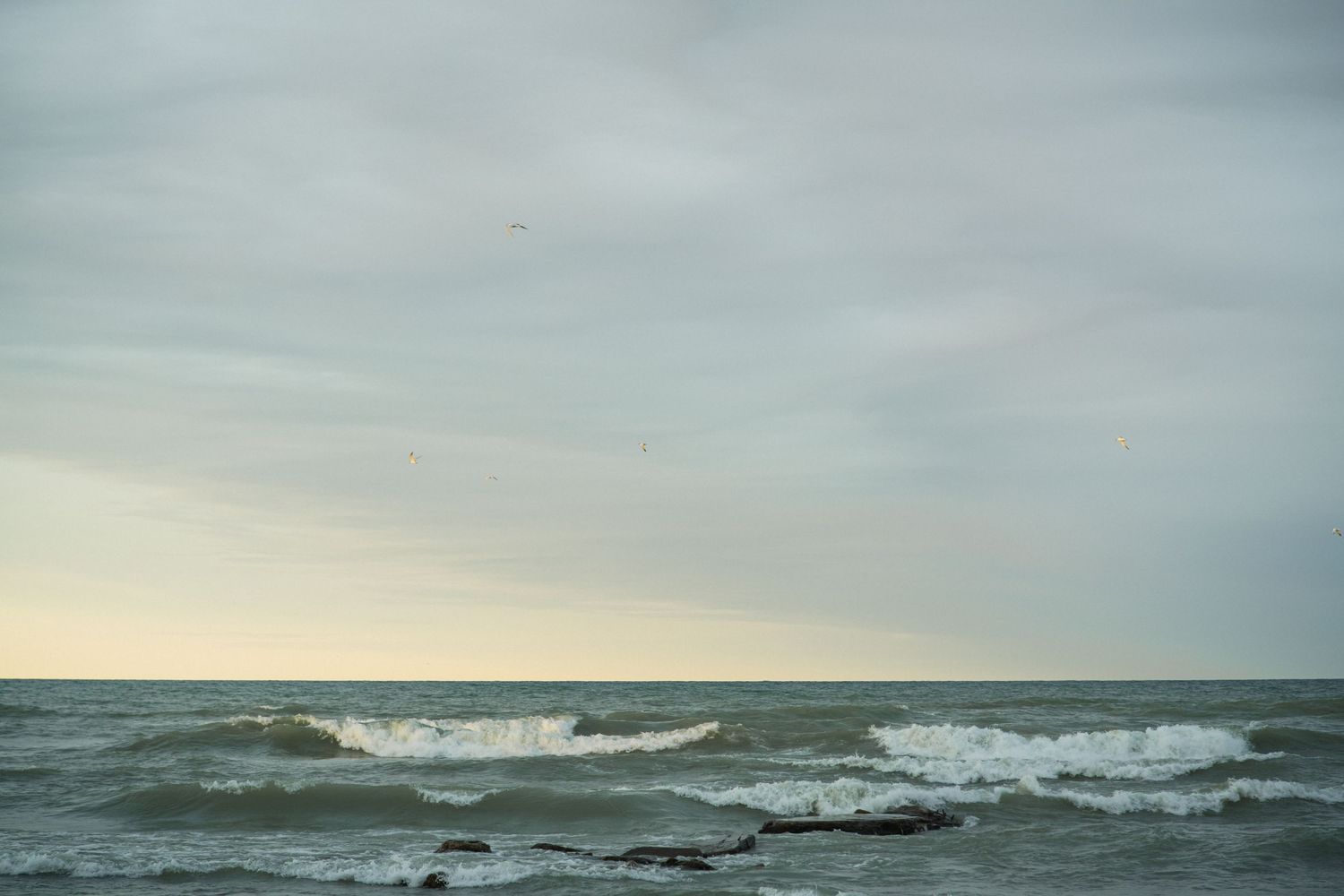 Stormy ocean waves crashing on a rocky shore under a cloudy sky with a bird flying in the distance.
