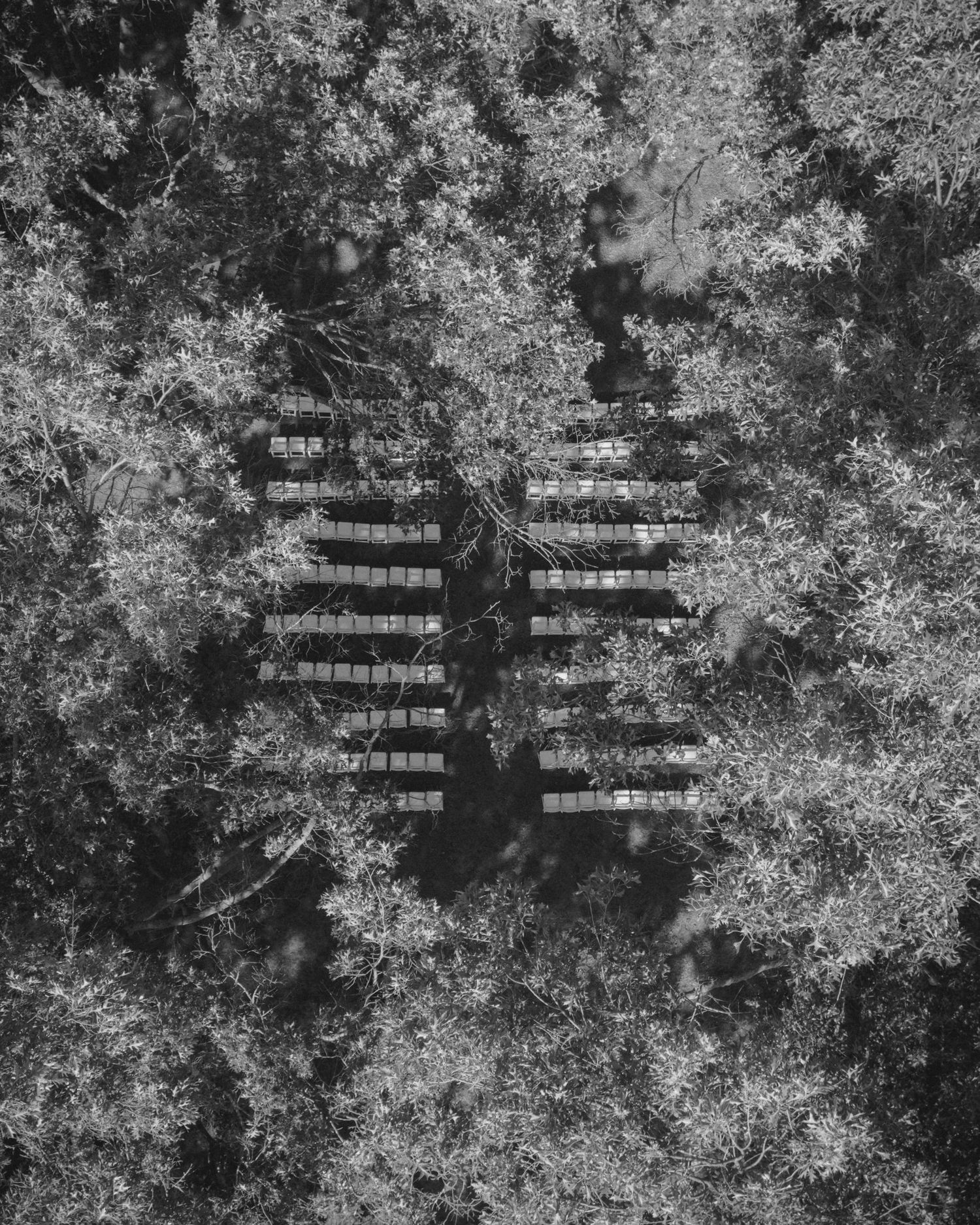 Aerial black and white photo of solar panels arranged symmetrically amid dense forest trees.
