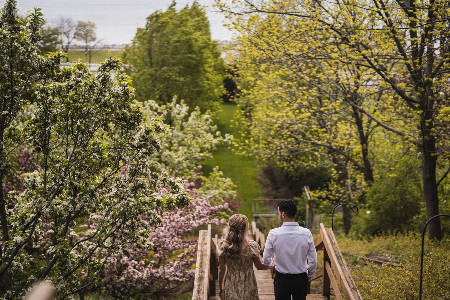 Two people walking across a wooden bridge surrounded by blooming spring trees.