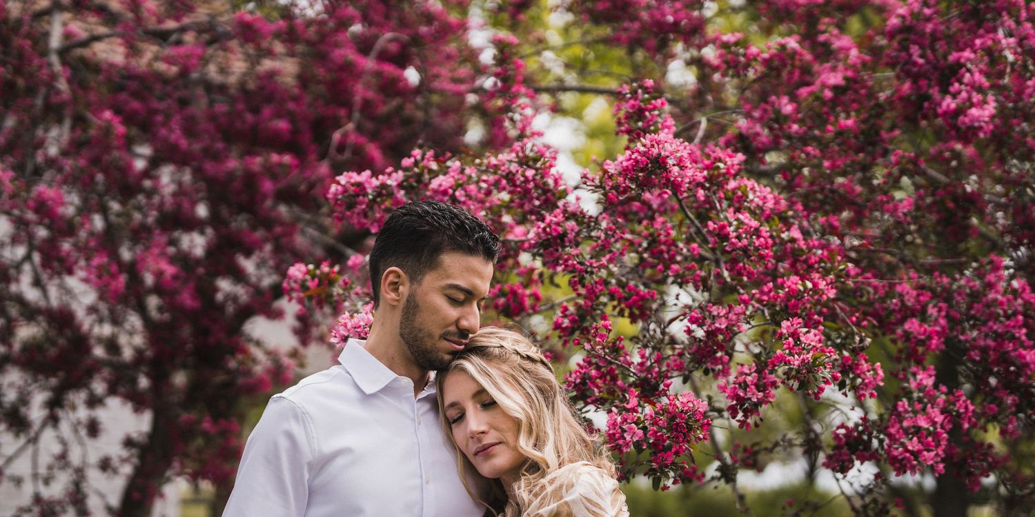Two people sharing an intimate moment among vibrant pink cherry blossoms.