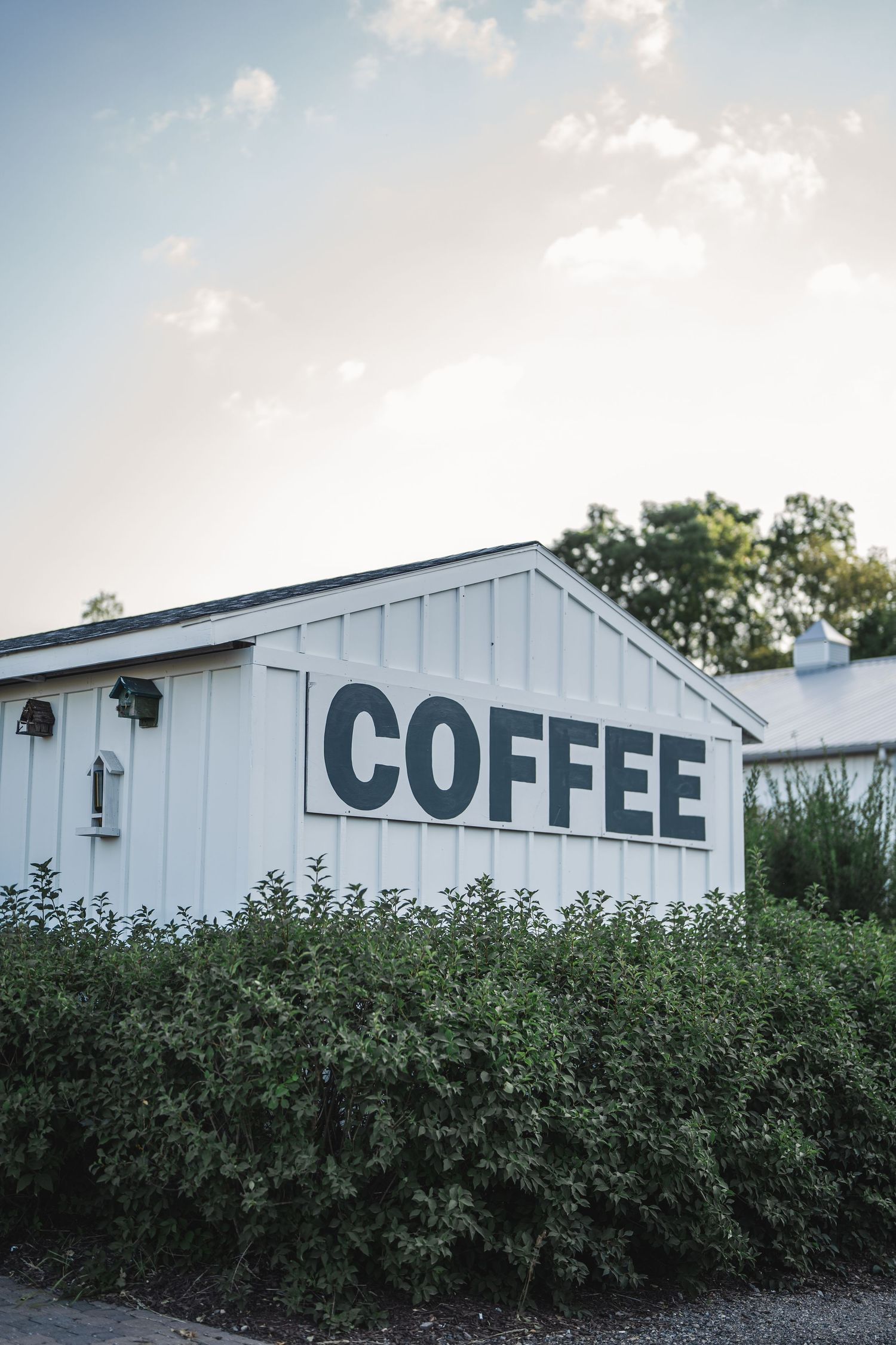 White building exterior with 'COFFEE' text painted on the wall surrounded by green bushes.
