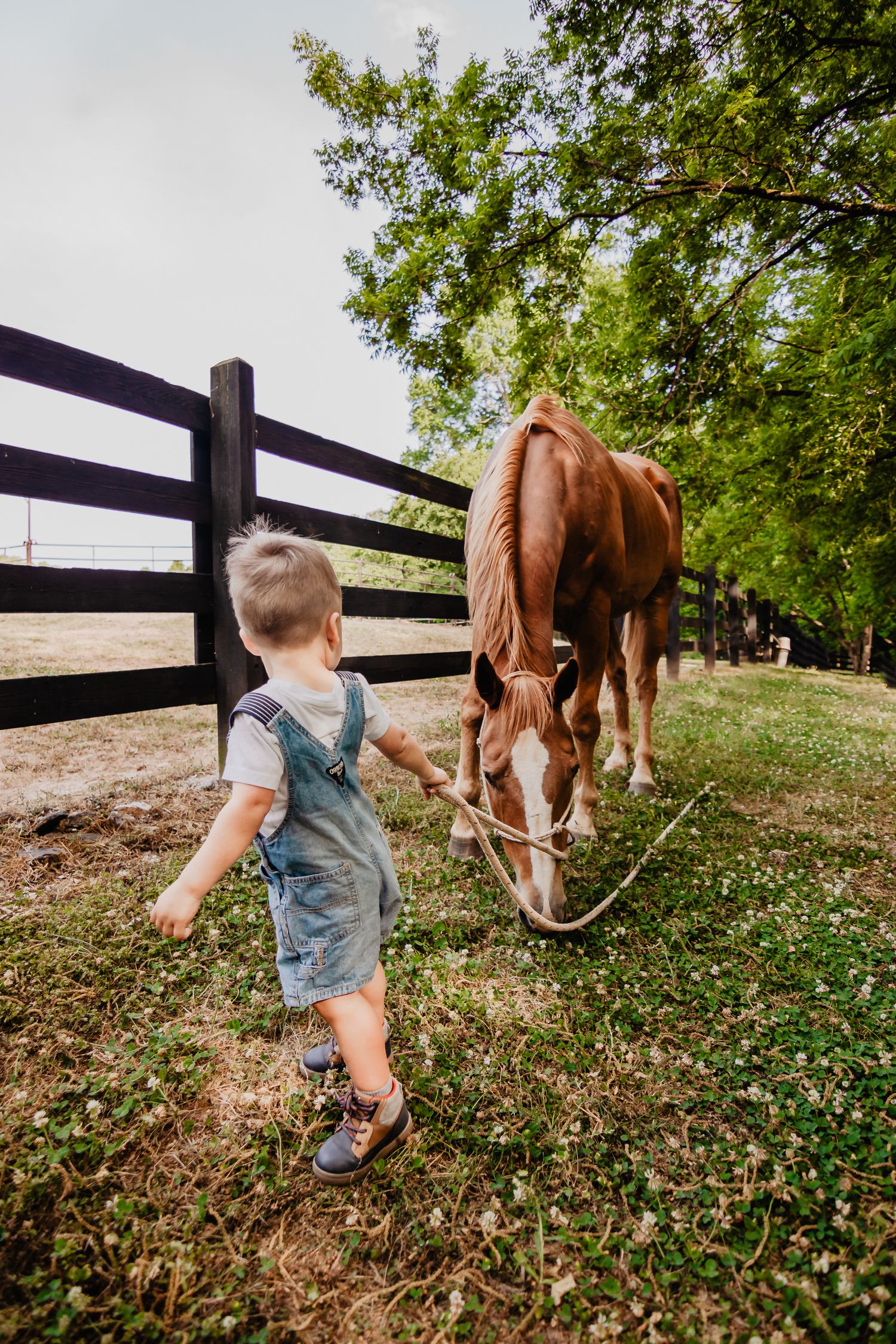 Children photography