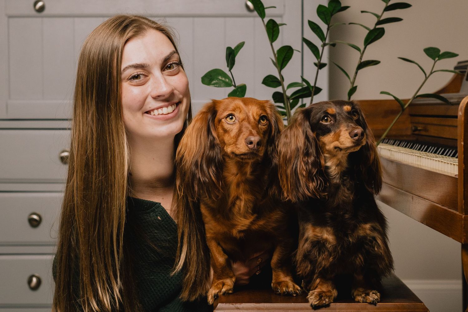 A person sits at a piano with two Irish Setter dogs in a cozy home setting.