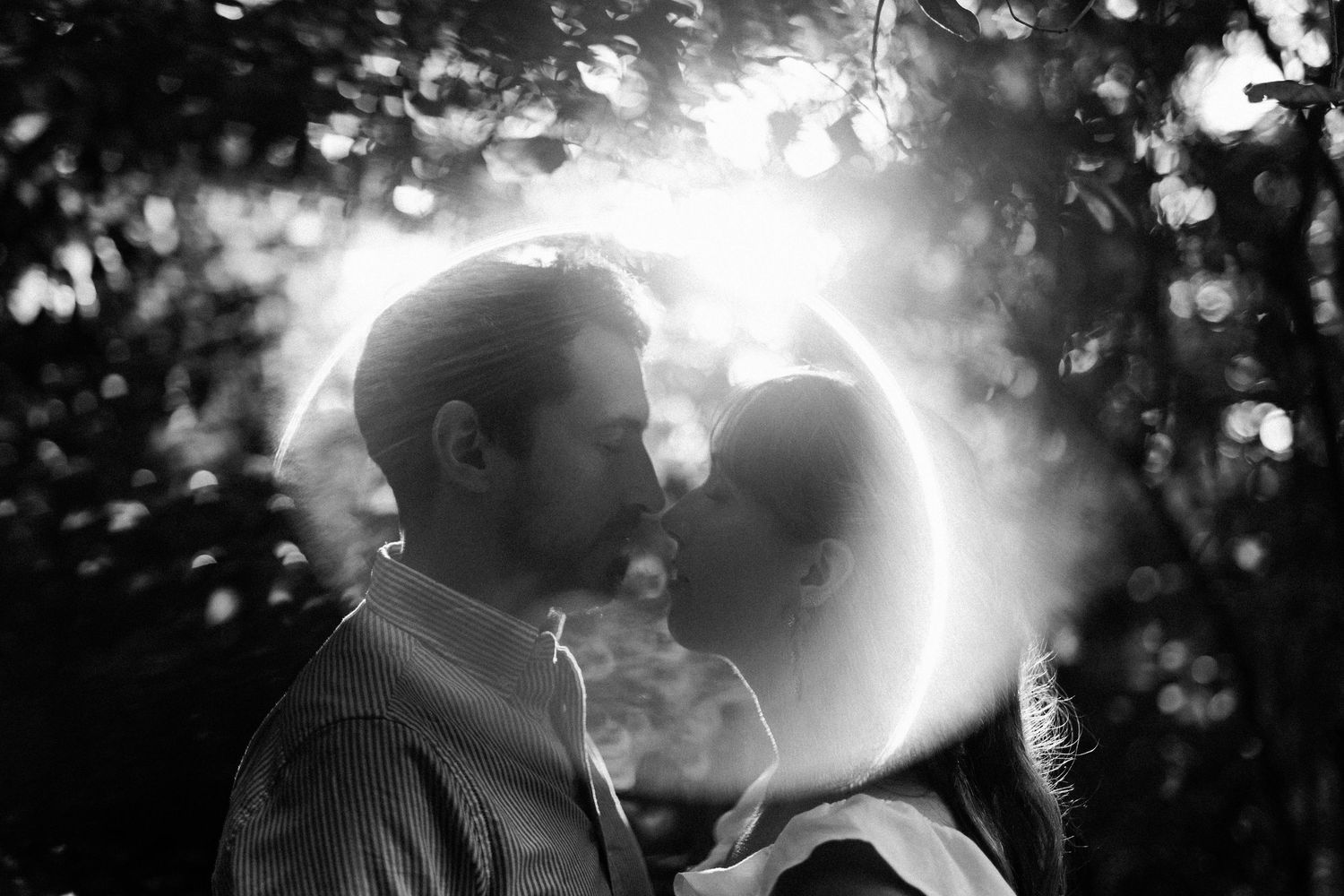 A silhouetted couple shares an intimate moment against bright sunlight and bokeh.