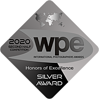 Set of silver WPE photography award badges and recognition emblems.
