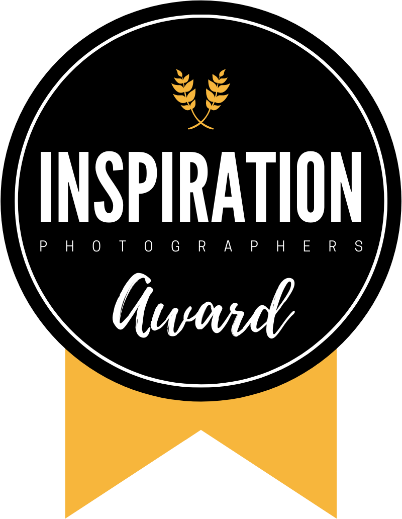 Black and gold inspiration award ribbons for professional photographers.