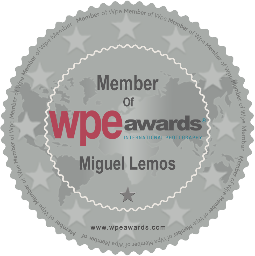 Collection of circular WPE member badges in silver with star accents.